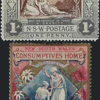 Consumptive Homes New South Wales 1897 1/-, 2/6, SG 280 & 1